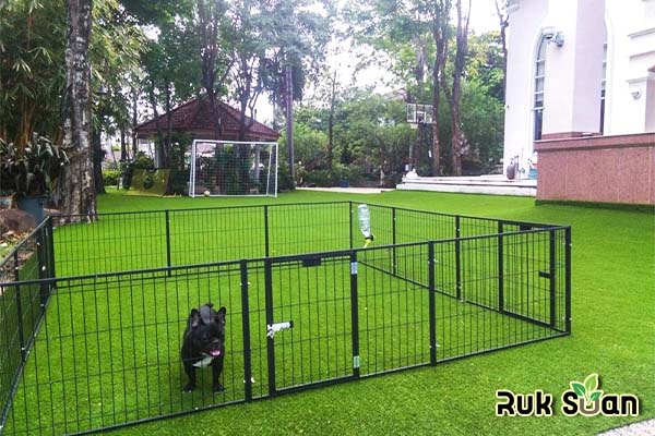 การจัดสวนสำหรับคนเลี้ยงสุนัข 