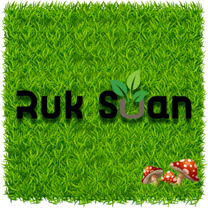 picture ruk-suan